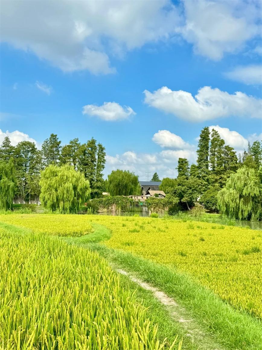 秋天的烏村，堪稱秋日旅行天花板??！_3_烏村Village_來自小紅書網(wǎng)頁(yè)版.jpg